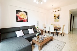 Simei Green Condominium (D18), Condominium #208565731